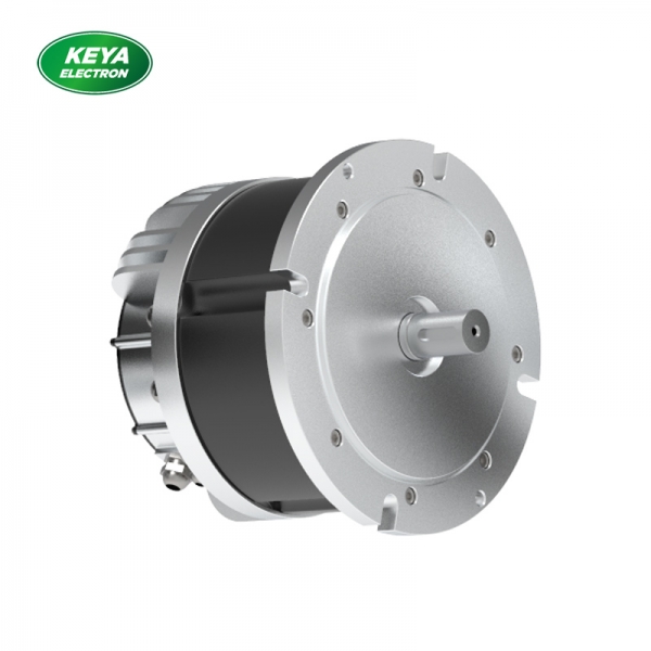MK体育（中国）国际平台215系列48V 4000W 1500RPM